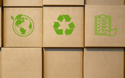 Sustainable Shipping: From Green Packaging to Zero Footprint Policies