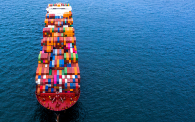 Navigating Challenges in the Red Sea: Impacts on Global Trade and Logistics