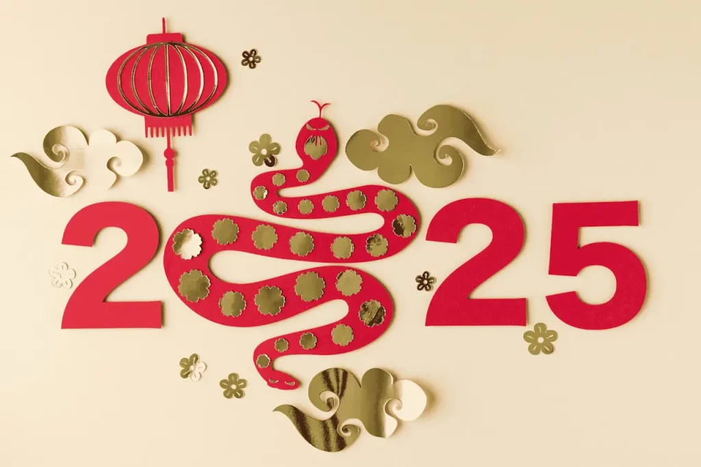 Impact of the Geopolitical Context on the 2025 Chinese New Year Shutdown